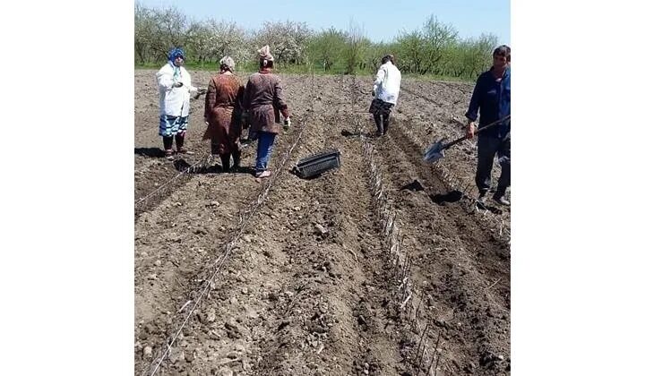Погода село оружба магарамкентский. Погода село оружба магарамкентский. Погода село оружба магарамкентский. Село оружба. Погода село оружба магарамкентский.
