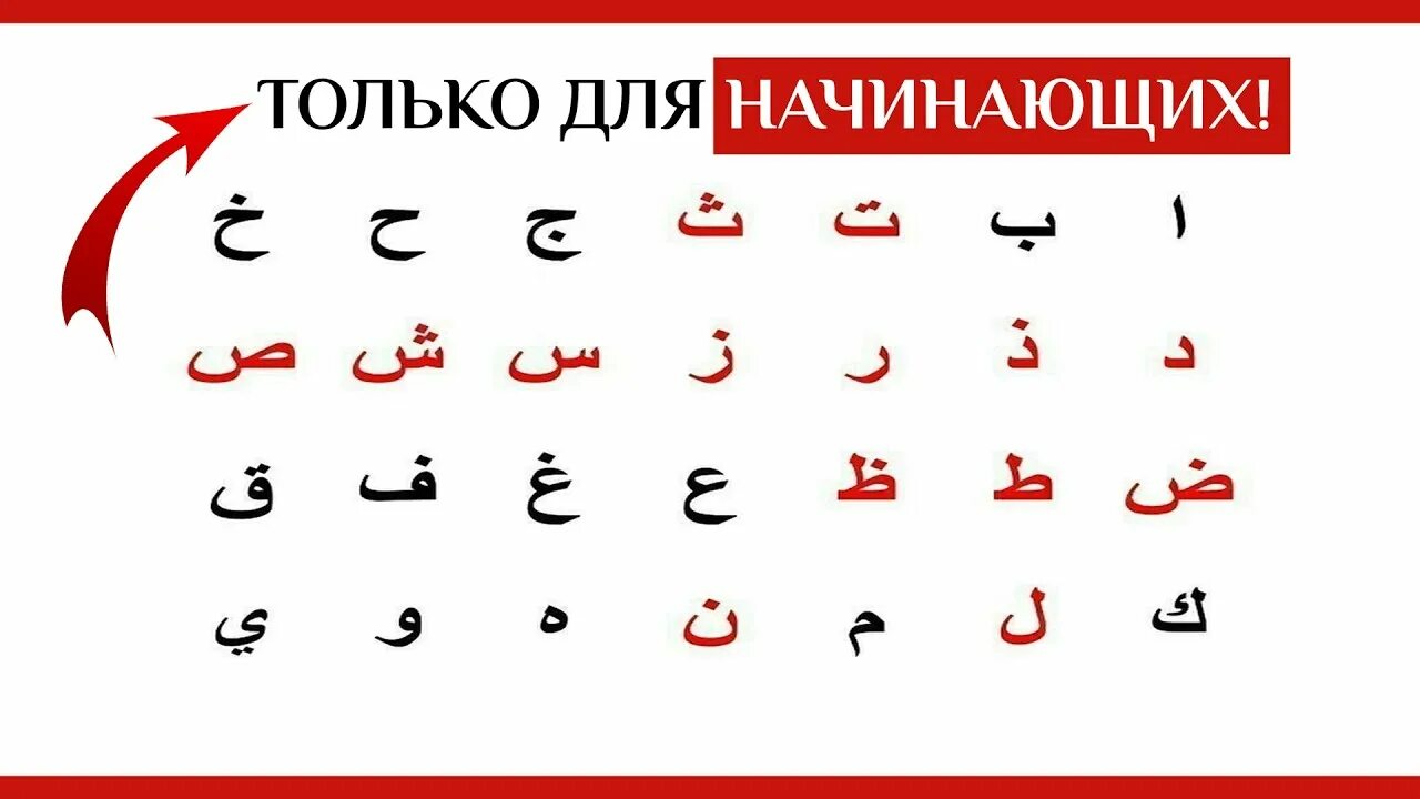 Как научиться арабскому языку. Арабские буквы. Арабский алфавит. Алфавит арабского языка. Алфавит арабского языка для начинающих.