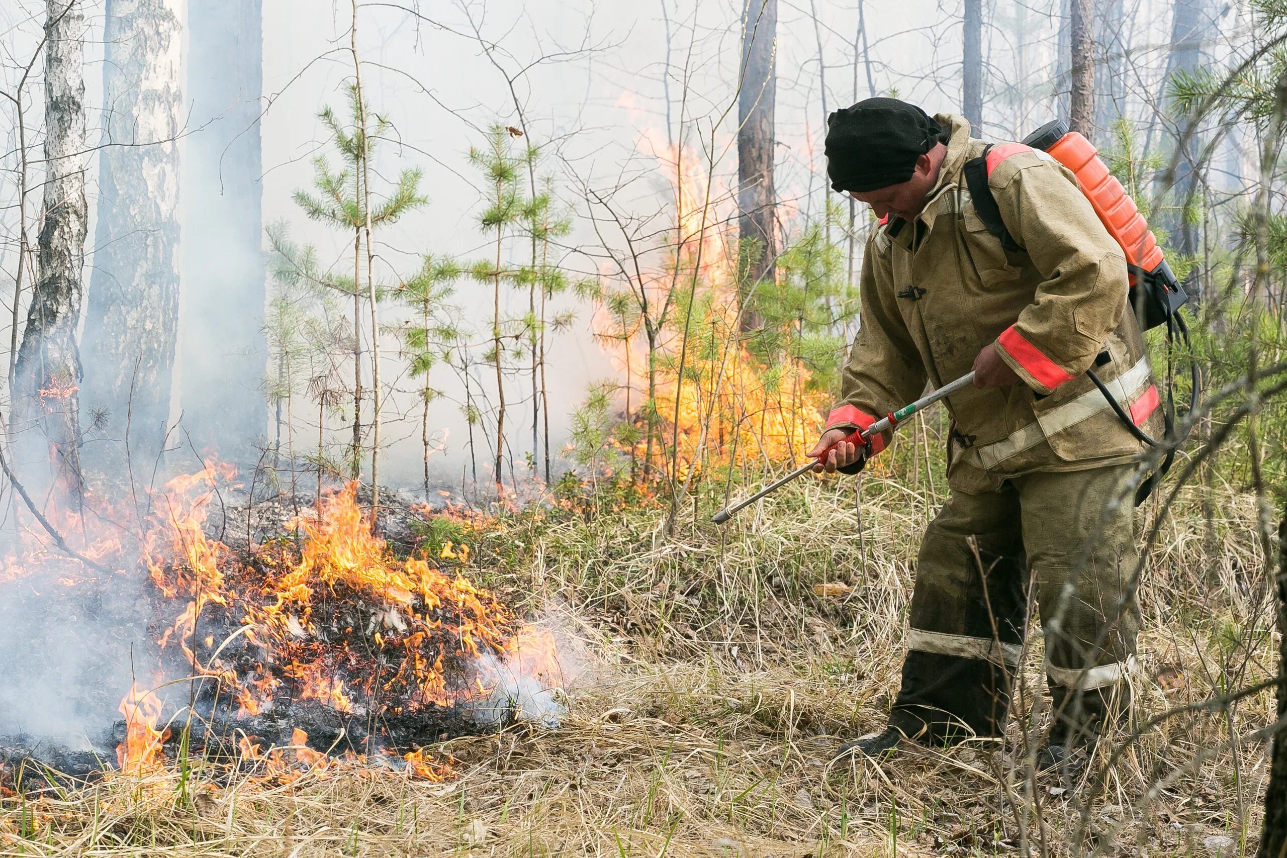 Хвойный пожар. Лесные пожары. Пожарники в лесу. Огонь пожар в лесу. Пожарная охрана лес.