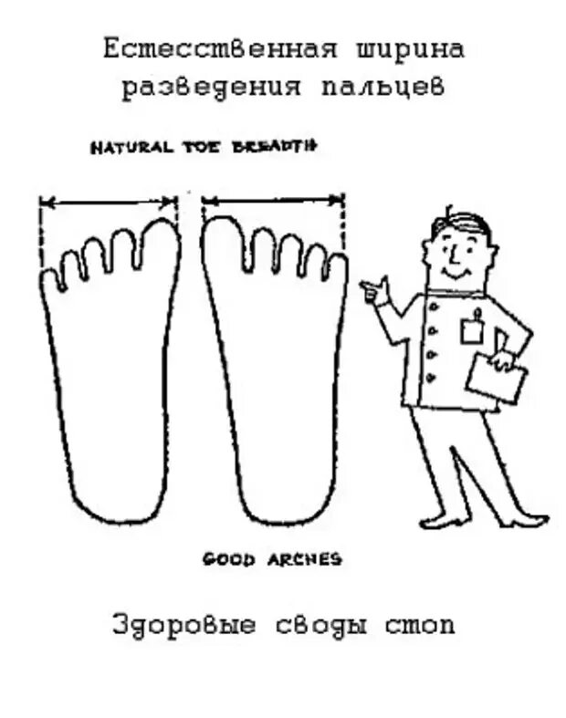 Оптимальная площадь опоры достигается путем разведения стоп