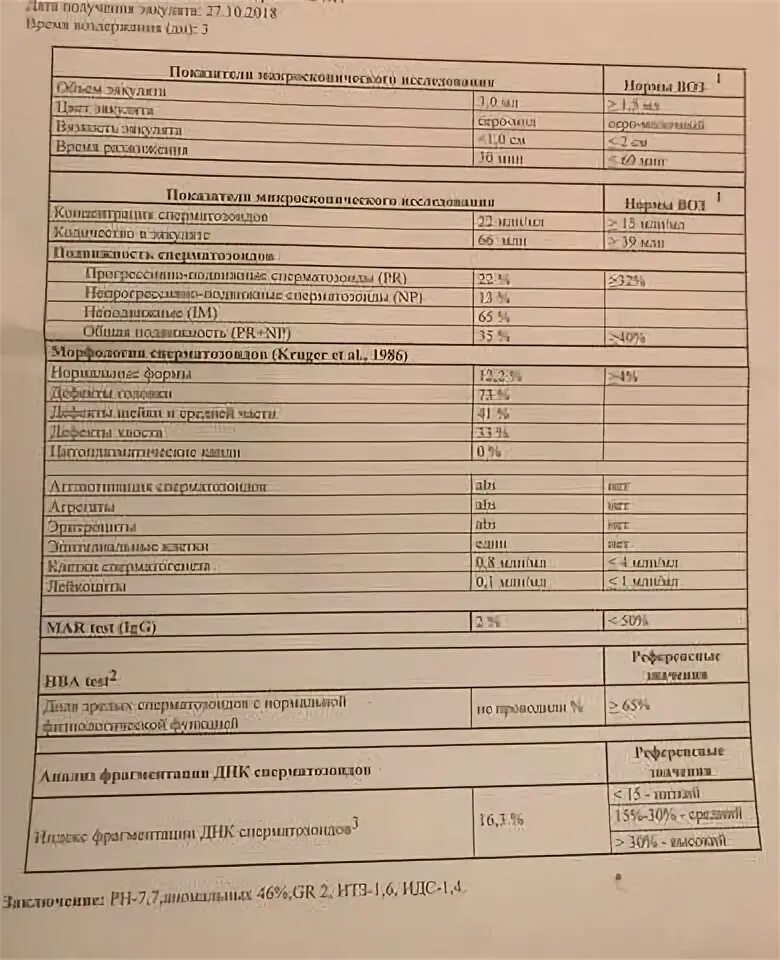 Фрагментация днк методы. Фрагментация спермограммы ДНК расшифровка анализа. Результаты фрагментации ДНК спермограммы. ДНК фрагментация спермограмма норма. Расшифровка фрагментации ДНК спермограммы.