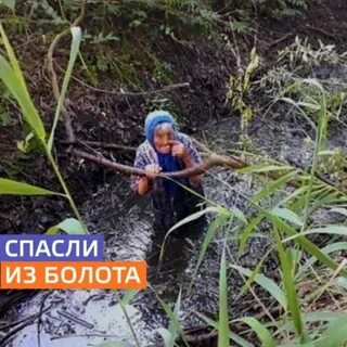 Болото спасло