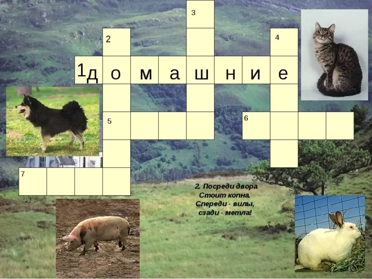 Подмосковный сканворд. Кроссворд для детей 7 лет про животных. Кроссворд про животных для детей. Кроссворды с животными для детей. Детские кроссворды про животных.