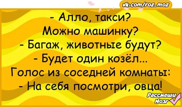 Алло такси. Алло такси ДНР. Визитка Алло. Шашка Алло такси.