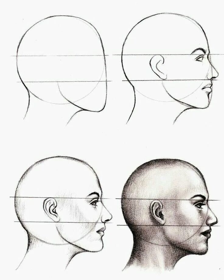 Рисование головы с боку. Схема рисования лица в профиль. Форма головы для рисования. Голова человека в профиль рисунок. Профиль поэтапно