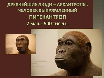 Древнейшие люди архантропы