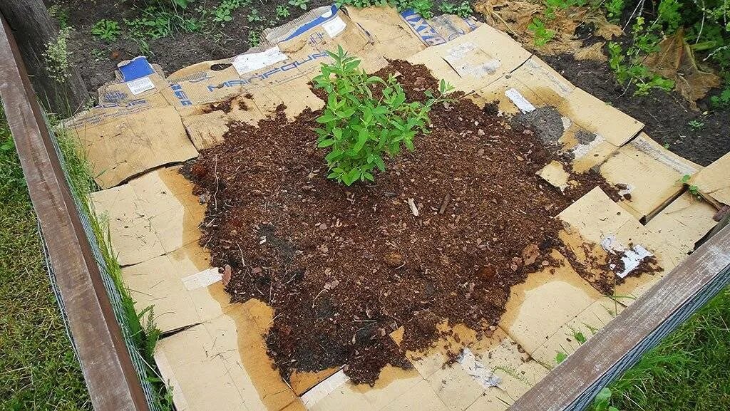 Как собрать мульчу