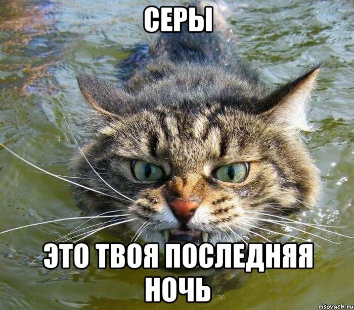 Ох уж эти твои истории мем. Завтра надпись. Сера мем. Это твоя тема не моя. Ох уж эти твои истории.