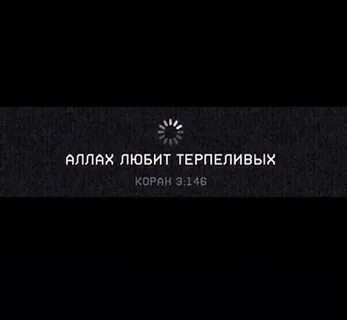 3.146