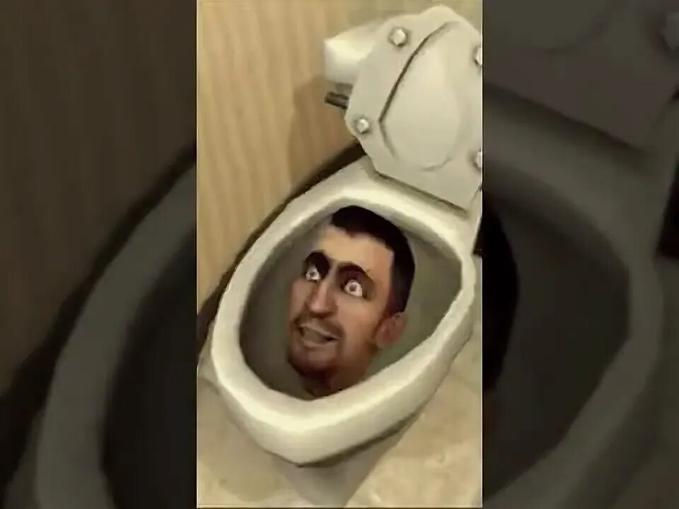 Поющий туалет
