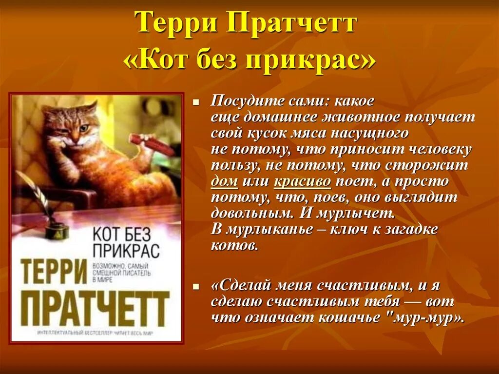 Без прикрас или прекрас. Кот без прикрас Терри Пратчетт. Терри Пратчетт книга про котов. Книги о котах. Книги про кошек.