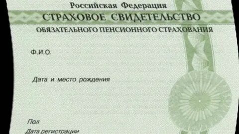 Без снилс