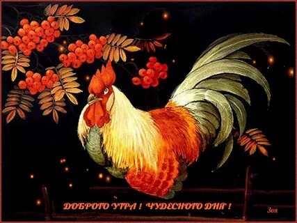 Ночь петух