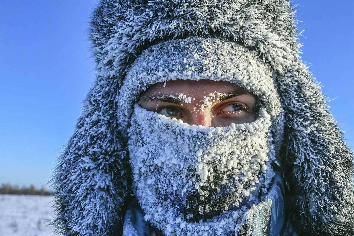 Сегодня на улице сильный мороз. Мороз. Сильный Мороз. Сибирские Морозы. Морозы в Сибири.