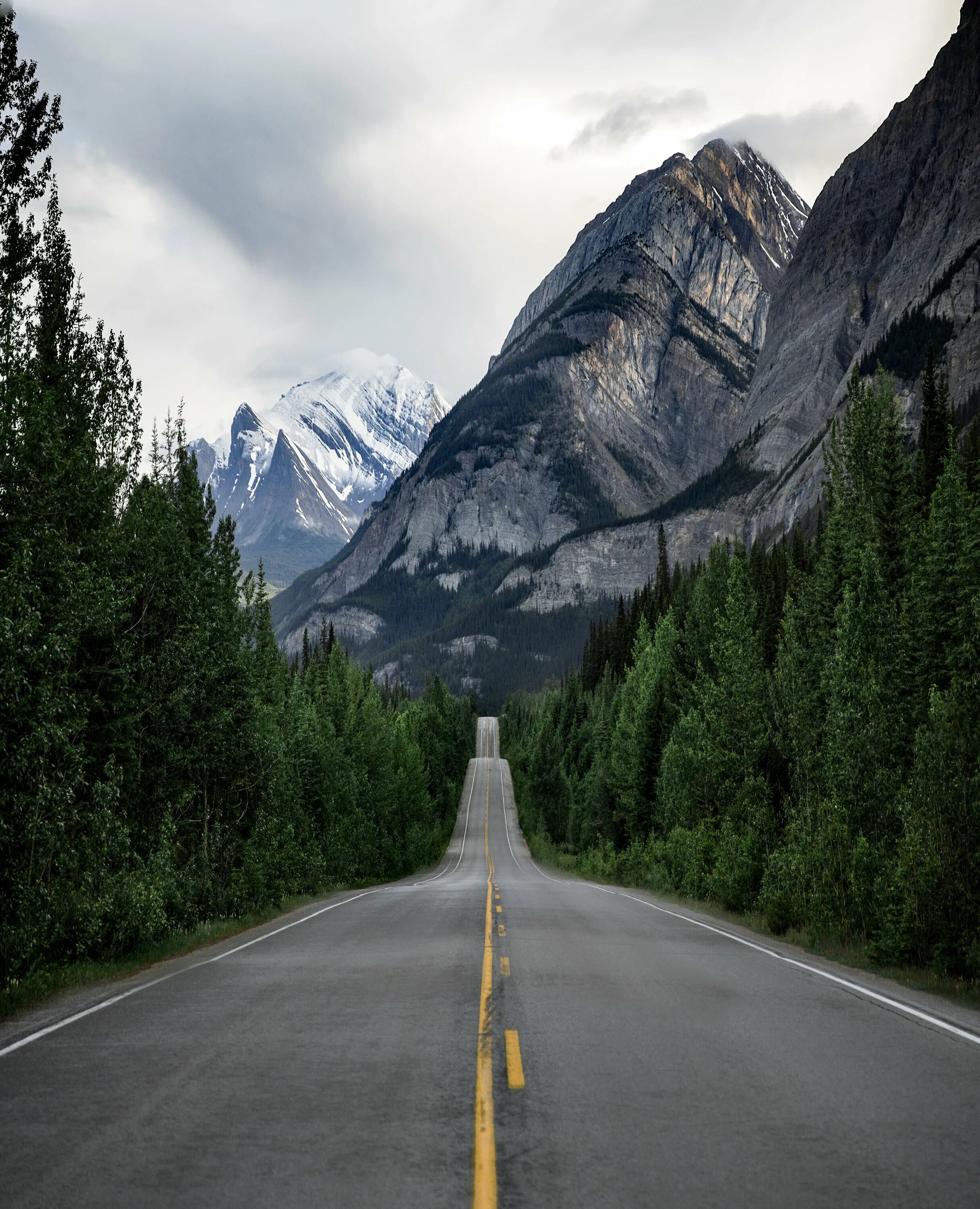 Горы дорога Аляска. Картина дорога Колорадо горы. Тумблер дорога горы. Обои лес горы дорога.