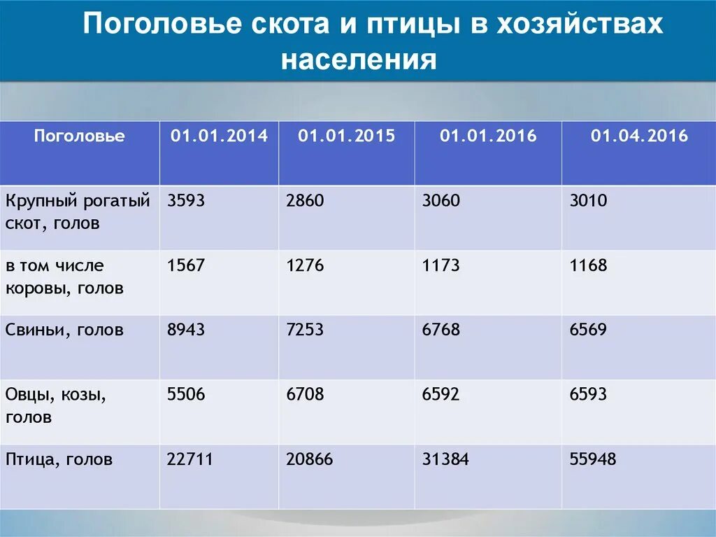 Среднегодовое поголовье. Поголовье скота. Поголовье КРС. Таблица поголовья КРС В хозяйстве. Расчет поголовья скота в хозяйстве.