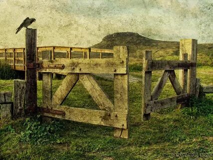 Painting fences