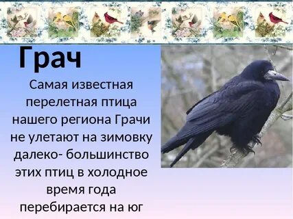 Когда улетают грачи