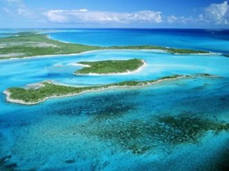 Саргассово какой океан. Саргассово море Бермудские острова. Саргассово море Бермудский треугольник. Саргассы в Саргассовом море. Саргассово море водоросли.