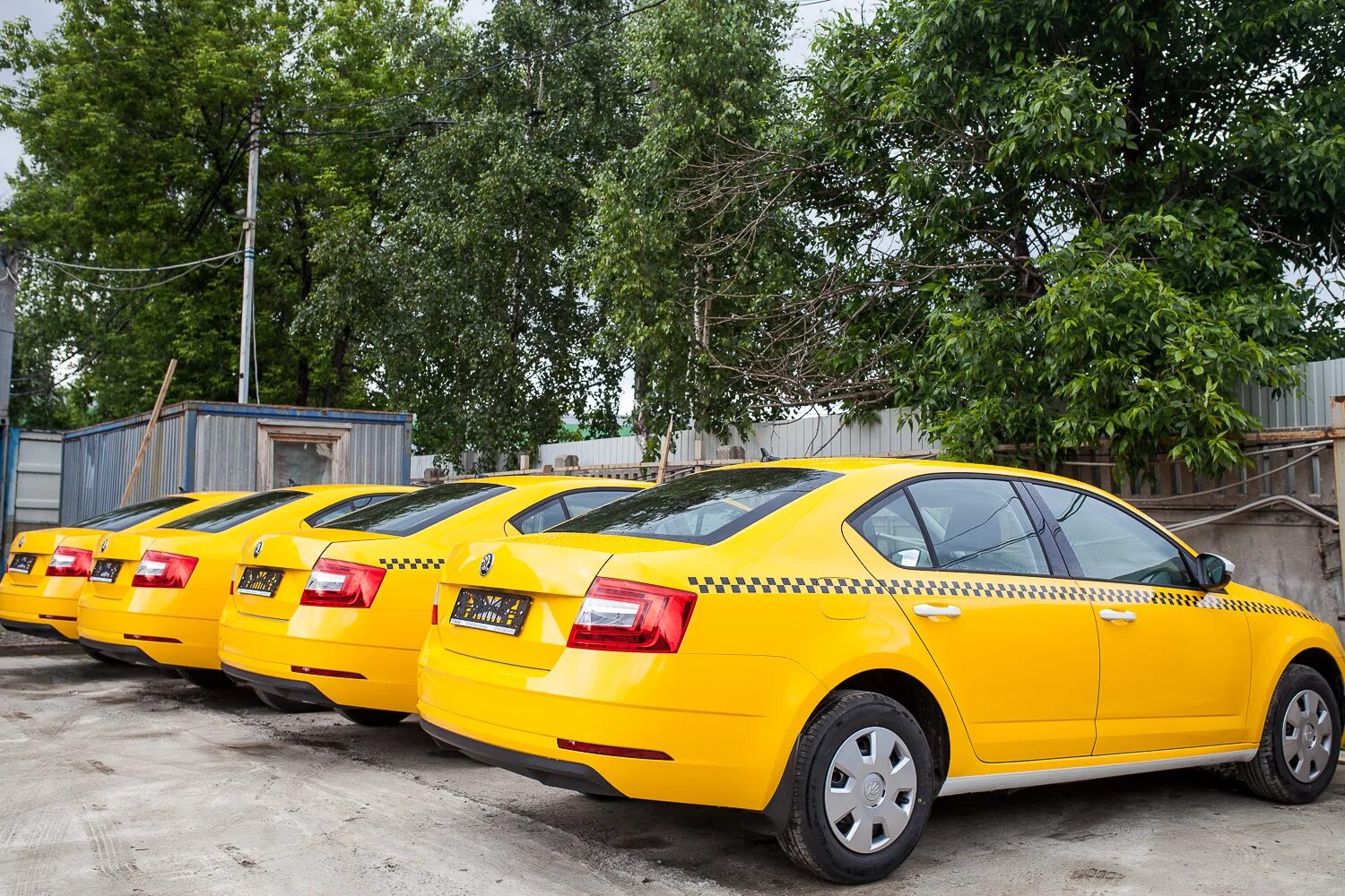 Шкода Рапид 2021 таксопарк. Машина Шкода Рапид 2021 такси. Skoda Octavia 2022 Taxi.