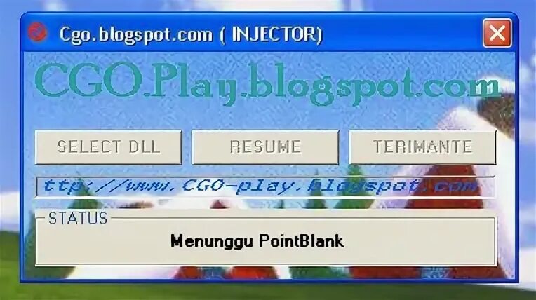 Go cgo enabled
