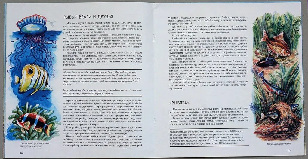 Рассказ лесные тайнички сладков. Н сладков биография для детей. Николай сладков лесные тайнички читательский дневник. Н сладков произведения. «какие бывают рыбы» н.