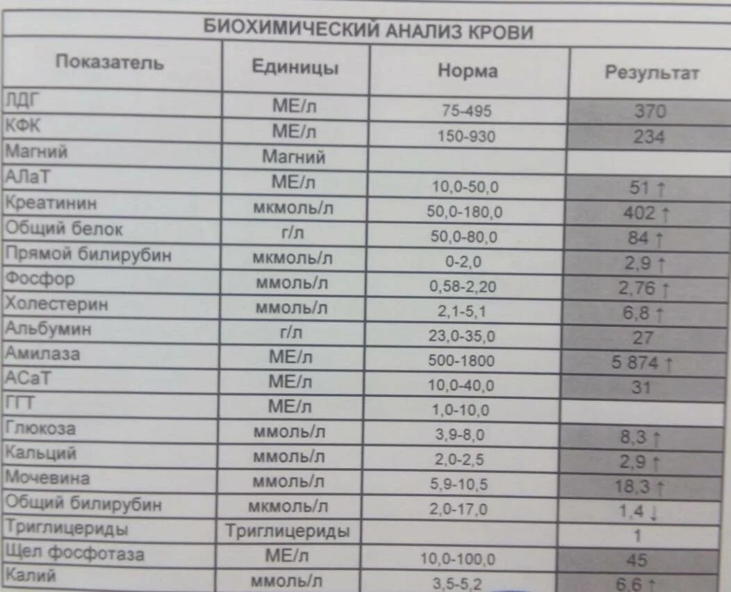 Норм анализы у взрослого мужчины. Биохимия крови показатели нормы. биохимические анализы крови норма и расшифровка. норма биохимического показателя крови биохимического анализа. нормы крови биохимия анализ у взрослого.