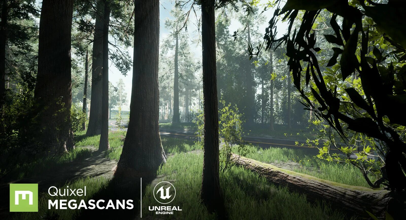 Itoo forest