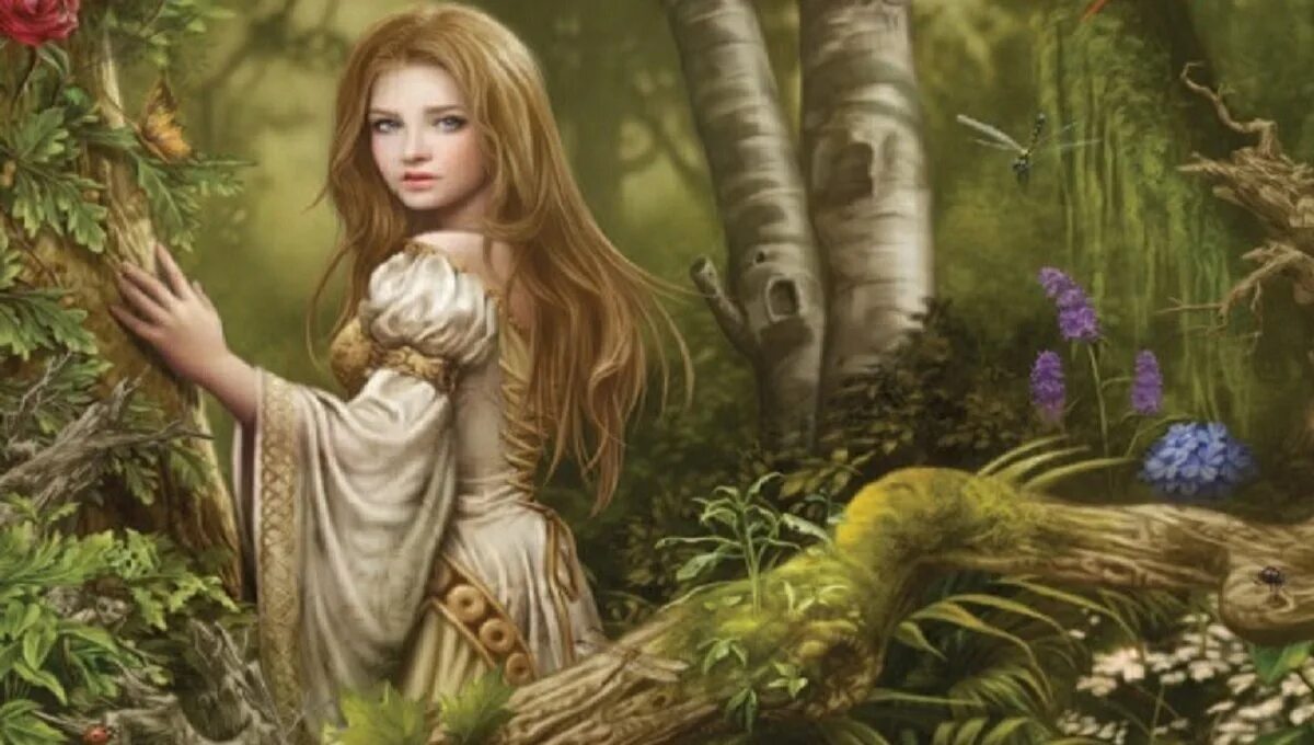 Fairy wait a moment
