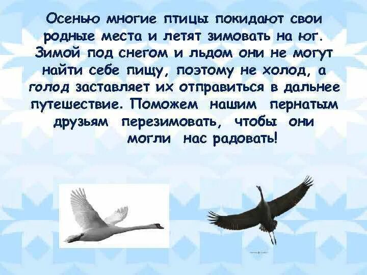 Птицы улетят и цветы завянут впр ответы. Притча о птице. Притча о Птичке. Притча о двух птицах. Притча про маленькую птичку.