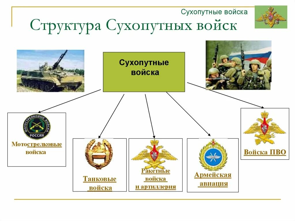 В состав сухопутных войск входят войска. Структура сухопутных войск рф мотострелковые войска. структура мотострелковых войск вооруженных сил рф. сухопутные войска рф схема. армия рф структура сухопутных войск.