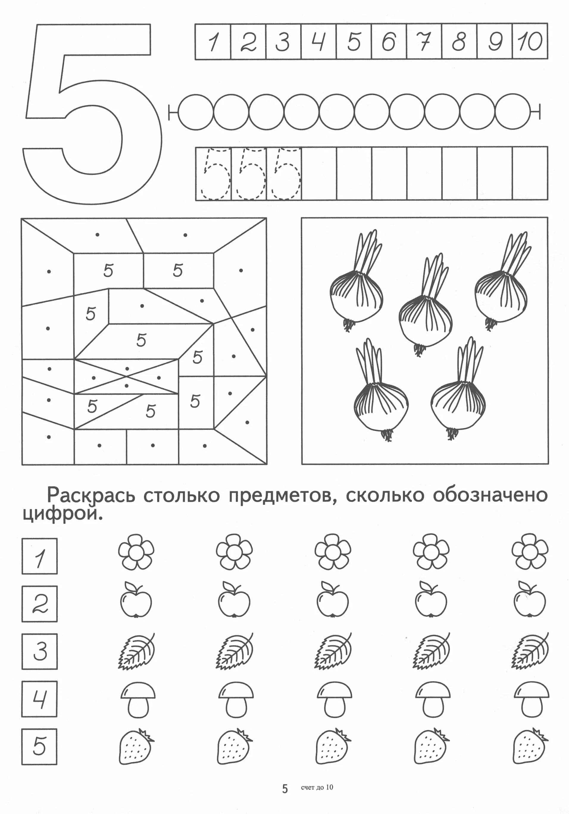 Число и цифра 5 задания для дошкольников. Изучаем цифру 5 задания для дошкольников. Число 5 задания для дошкольников. Число и цифра 5 для детей 4-5 лет. Количество и счет в средней группе