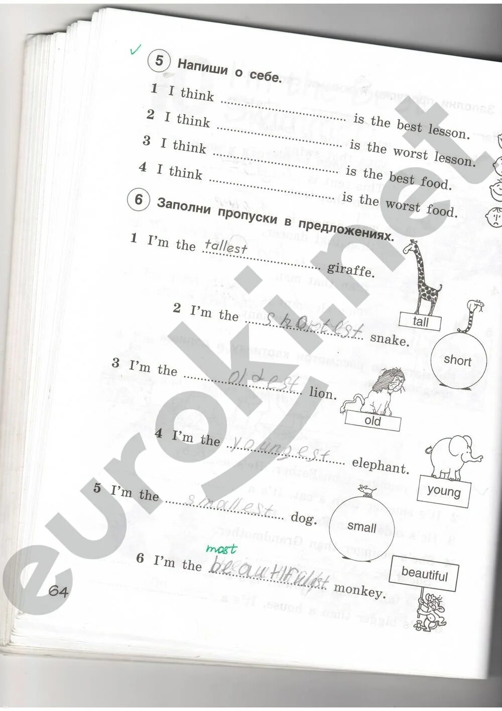 Тетрадь страница 64. Английский язык 2 класс рабочая тетрадь комарова ларионова стр 64. английский язык 3 класс рабочая тетрадь комарова стр 64. комарова 4 класс рабочая тетрадь. английский язык рабочая тетрадь 3 класс рабочая тетрадь стр 64.