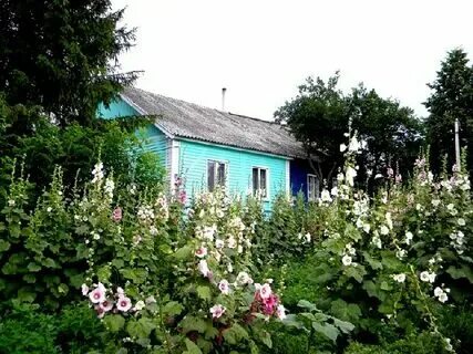 Село локня. Село локня