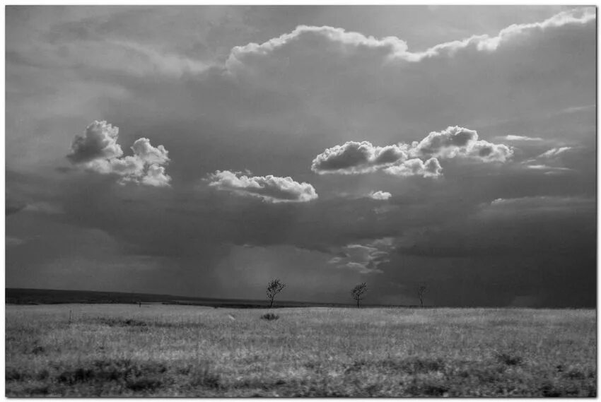 Влюбленные в тумане. Что гроза в степи влюбленной паре. Силы природы. Курнуц. Что гроза в степи влюбленной паре.