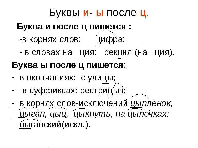 Правописание букв и ы после ц правило. Слова написание букв и,ы после ц. Правило написания букв после ц. Правило написания ы и и после ц.