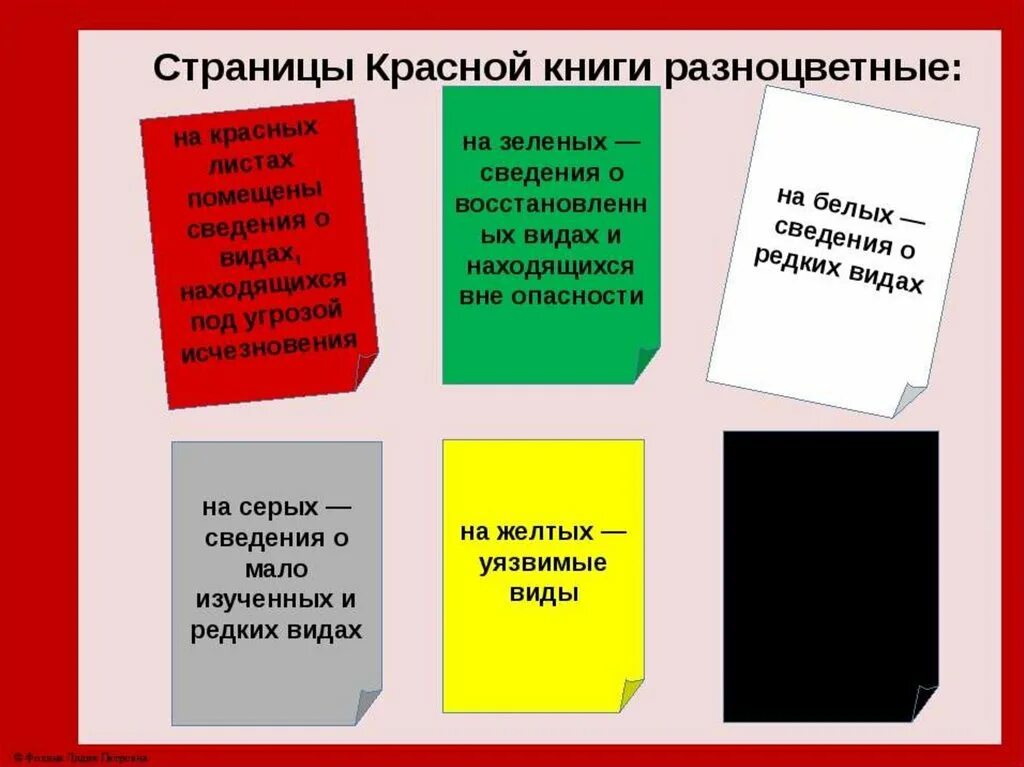 Красная книга россии цвета. Цветные страницы красной книги. Страницыкрасной книге. Цвета страниц красной книги. Красные страницы красной книги.