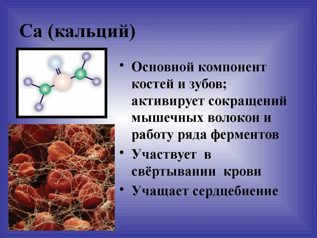 Д с основной элемент. Кальций в свертывании крови. Основной компонент костей. Ионы кальция в свертывании крови. Кальций участвует в свертывании крови.