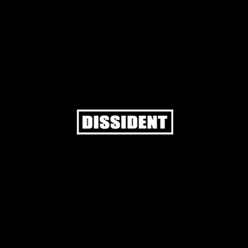 Диссидент логотип. Одежда dissident бренд. Dissident перевод. Диссидент логотип. Футболка диссидент.