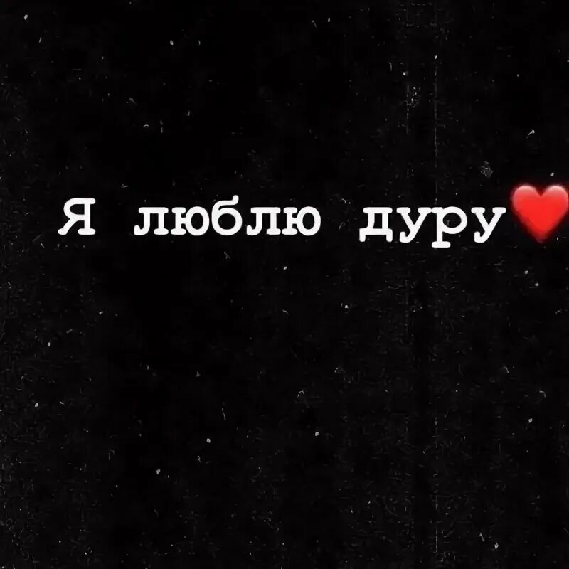 Полюбила дура. Я люблю тебя дурочка. Люблю дуреху. Люблю дурачиться цитаты. Вот так люблю.