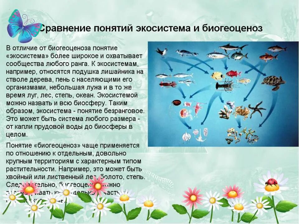 экосистемой можно назвать