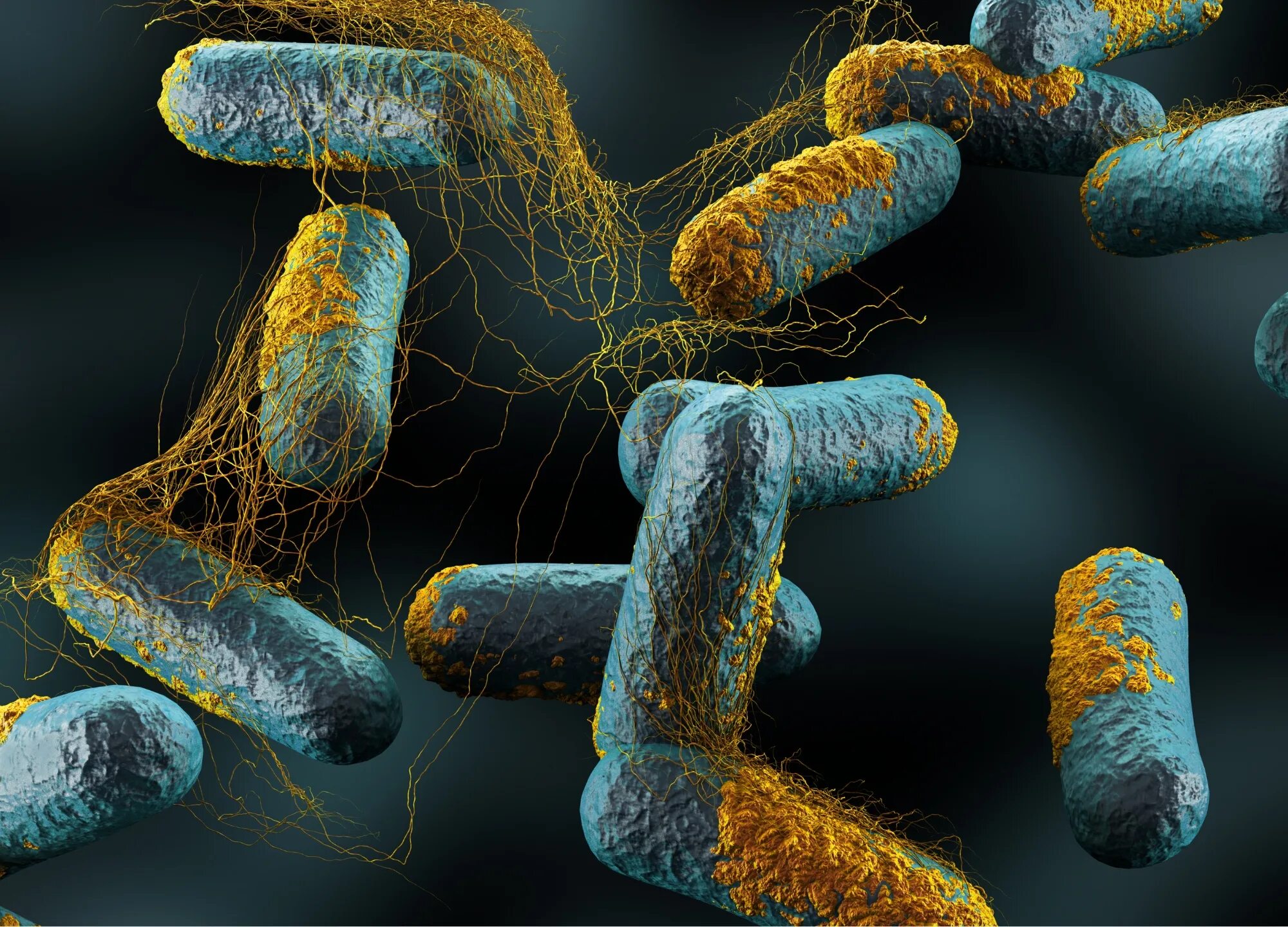 Болезнетворная бактерия 7. Клостридия ботулинум. Бактерии Clostridium perfringens. Клостридии ботулизма ( Clostridium botulinum ) ботулизм.