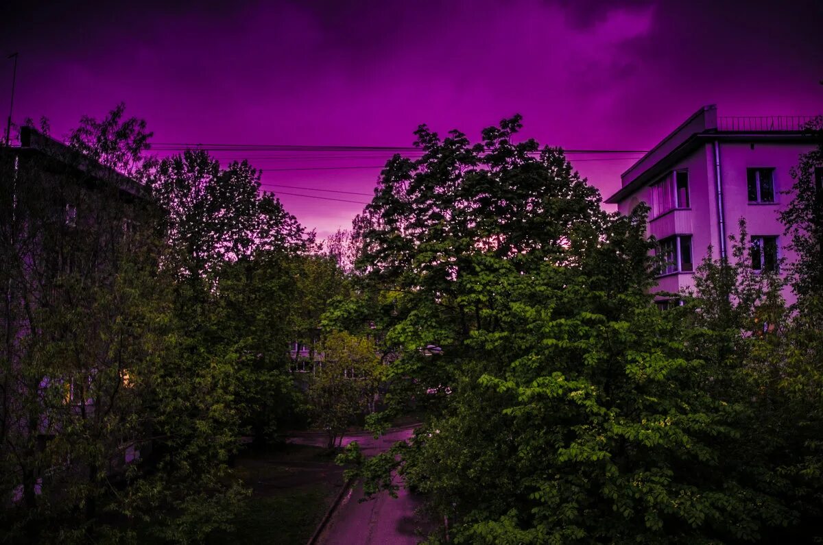 розовый вечер новая версия 2023. розовый вечер новая версия 2023. альбом розовый вечер. красивый фиолетовый. розовый вечер новая версия 2023.