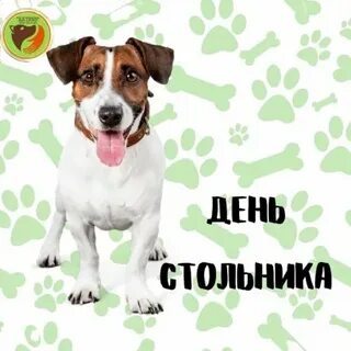 10 ти дней
