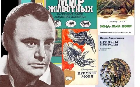 Акимушкина жил был ежик