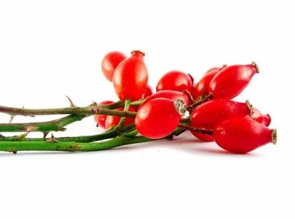 Rose hips