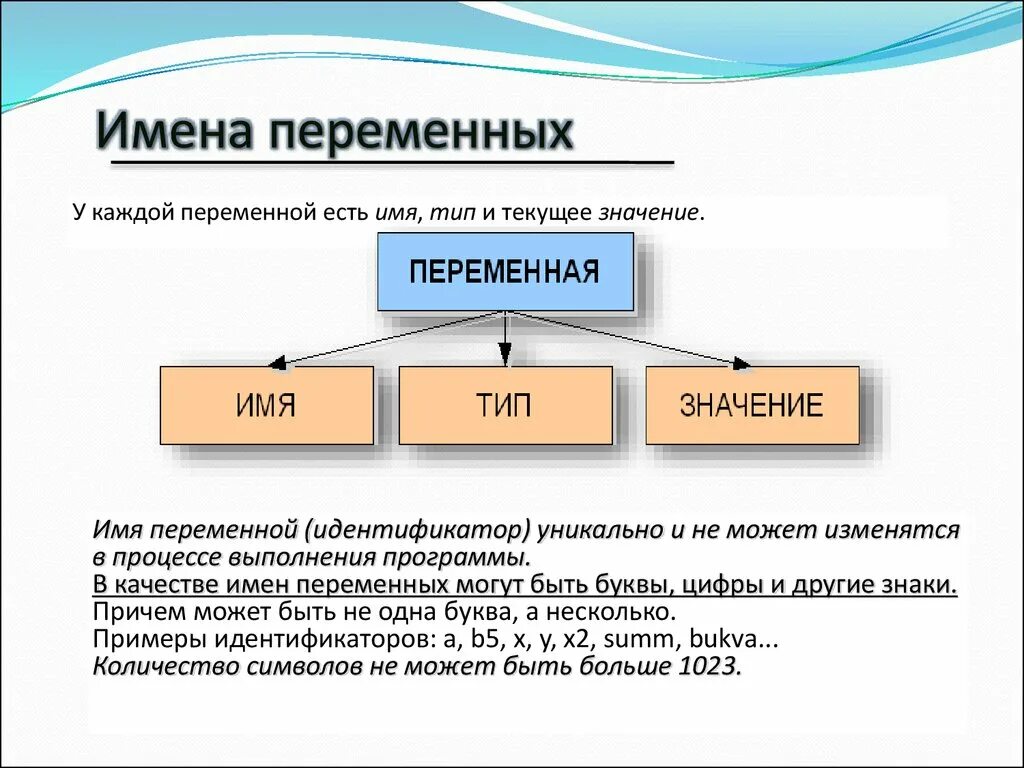 Любая переменная имеет. Имя переменной. Переменные имена переменных. Имя и значение переменной. Имя Тип значение переменной.