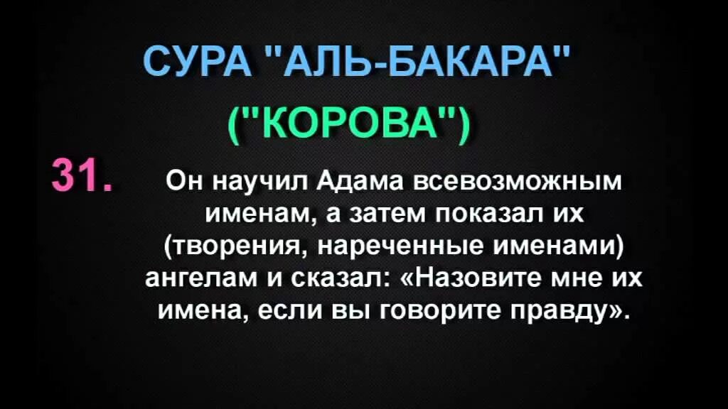 Сура. Аль Бакара. Сура Бакара. Сура Аль Бакара.