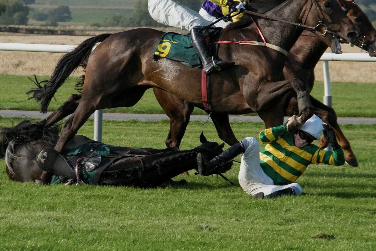 Horses fall. Джордж Вульф жокей. Жокей конный спорт. Лошадь на скачках. Спортивные лошади.