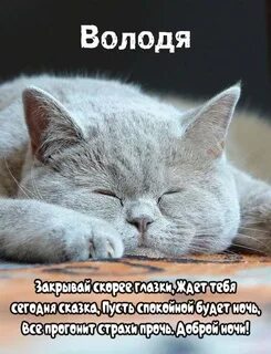 Словно спокойный